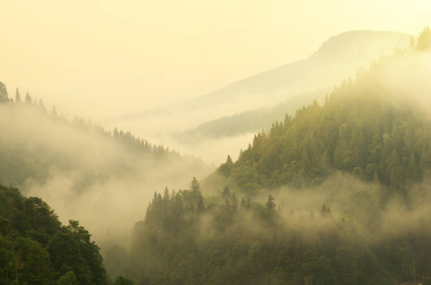 istock Mountain aerial morning landscape. 1495792696