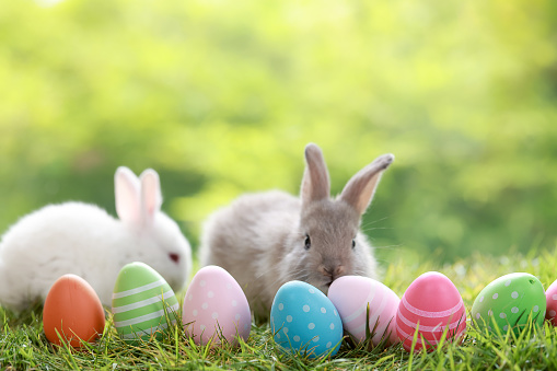 Little Easter bunny and Easter eggs on green grass,Happy Easter - baby rabbit and easter eggs