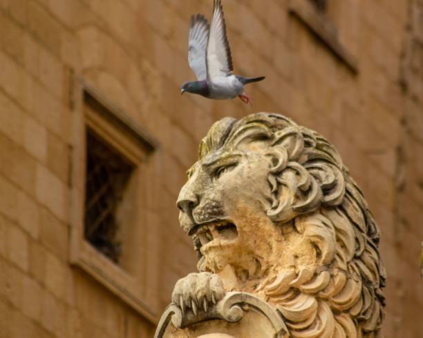 istock White pigeon soars through the sky above a grand stone lion statue 1495796789