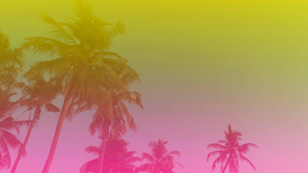 istock Summer with colorful theme as palm trees background as texture frame background 1495798417