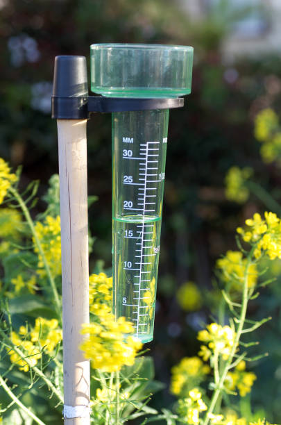 istock Clear plastic rain guage attached to a wooden pole 1495800025