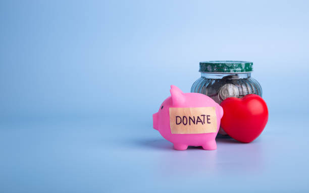 istock Pink piggy bank with donate word on a blue background. 1495800148