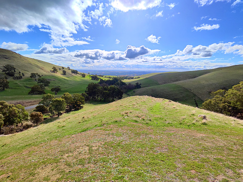 G.B.A. Parsons scenic lookout over the Barossa Valley, a renowned wine-producing region northeast of Adelaide, in South Australia. The area encompasses towns such as Tanunda, Angaston and Nuriootpa. Shiraz grapes are the local speciality.