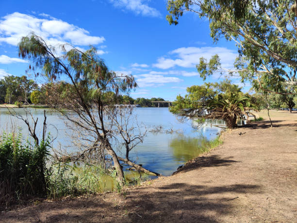 istock Murray river in Mildura, Victoria, Australia 1495802071