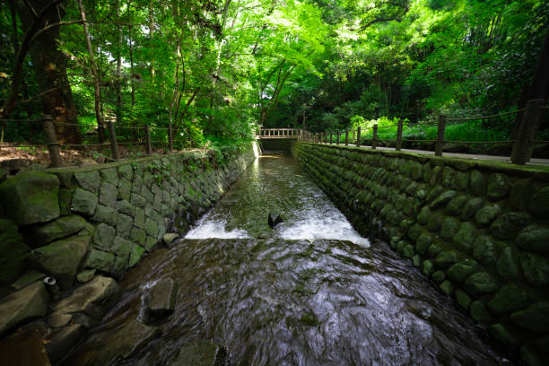 un pequeño valle cerca del río en todoroki tokyo wide shot - distrito de setagaya fotografías e imágenes de stock