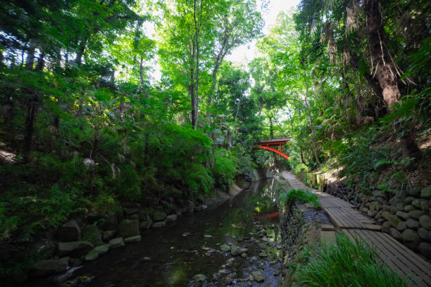 A small valley near the river in Todoroki Tokyo wide shot A small valley near the river in Todoroki Tokyo wide shot. High quality photo. Setagaya district Todoroki Tokyo Japan 08.02.2023 Here is Todoroki valley in Tokyo. setagaya ward stock pictures, royalty-free photos & images