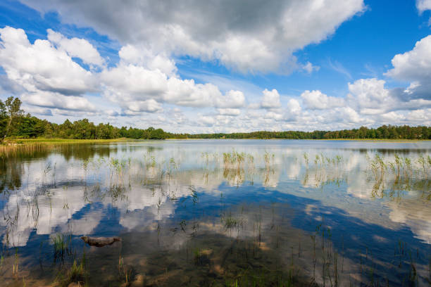 istock Beautiful landscape view with reflections in a lake 1495803917