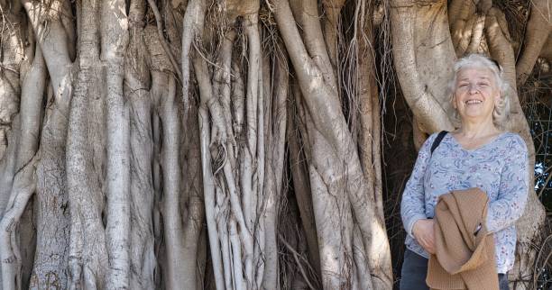 istock Senior woman standing near the huge old banyan tree, copy space. 1495806303