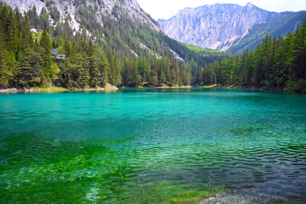 istock The Green Lake in Styria, Austria 1495809209