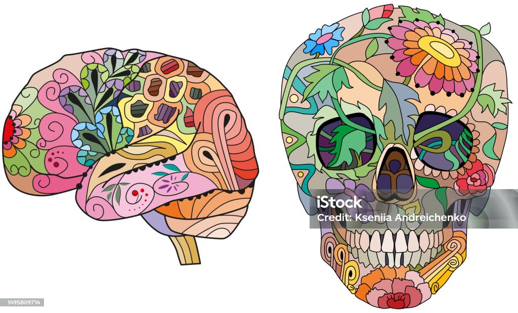 Stylized Brain Vector Stylized Brain And Scull Hand Drawn Decorative Vector Illustration ...