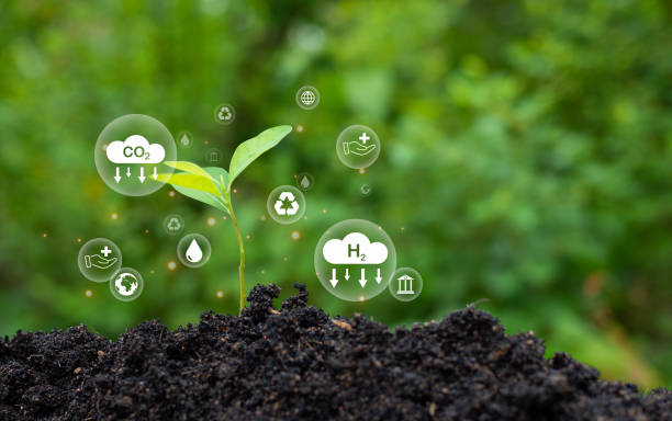 istock CO2 emission reduction concept, clean and friendly environment without carbon dioxide emissions. Planting trees to reduce CO2 emissions, environmental protection concept. 1495819523