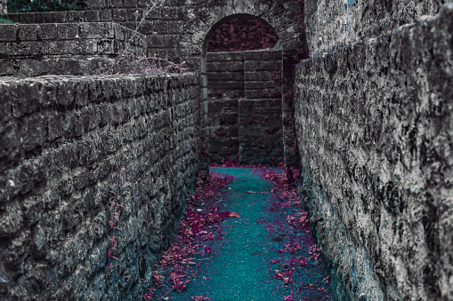 stone fantasy hallway. narrow path with blue ground. stone ruin and pink tree leaves on the ground