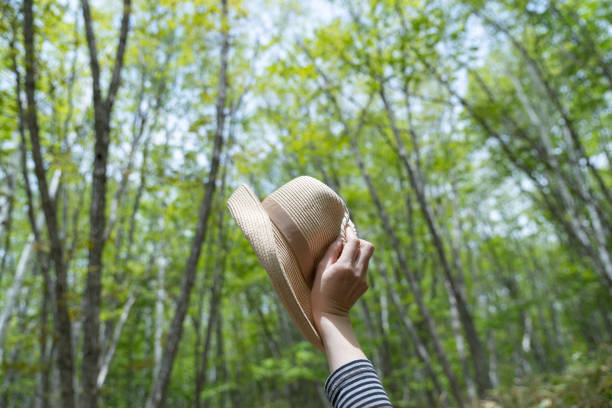 Enjoy the highlands in summer