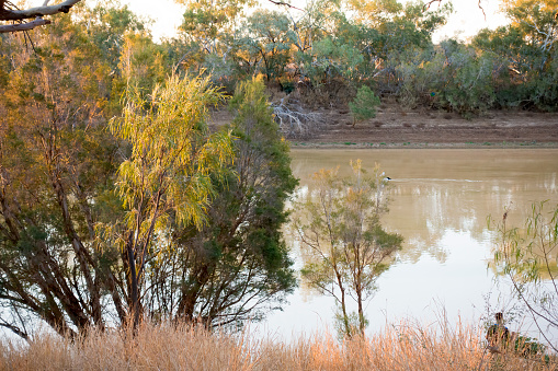 Tranquil river scene in outback Queensland, Australia