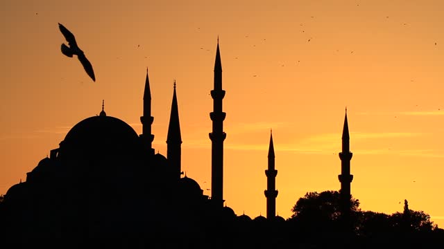 The mosque built by Suleiman the Magnificent. Istanbul, Turkey