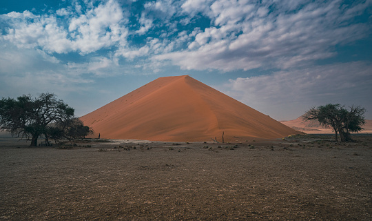 Large dune in Sossusvlei of the Namib Naukluft National Park in Namibia, Africa