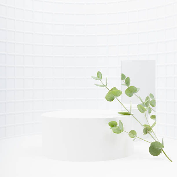 istock Spring abstract white scene one cylinder podium template for presentation cosmetic, goods, advertising, design in round alcove with tiny mosaic tile, fresh tender green eucalyptus branches, mirror. 1495834880
