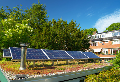 Green sedum roof with solar panels under a blue sky in the city of Groningen Netherlands