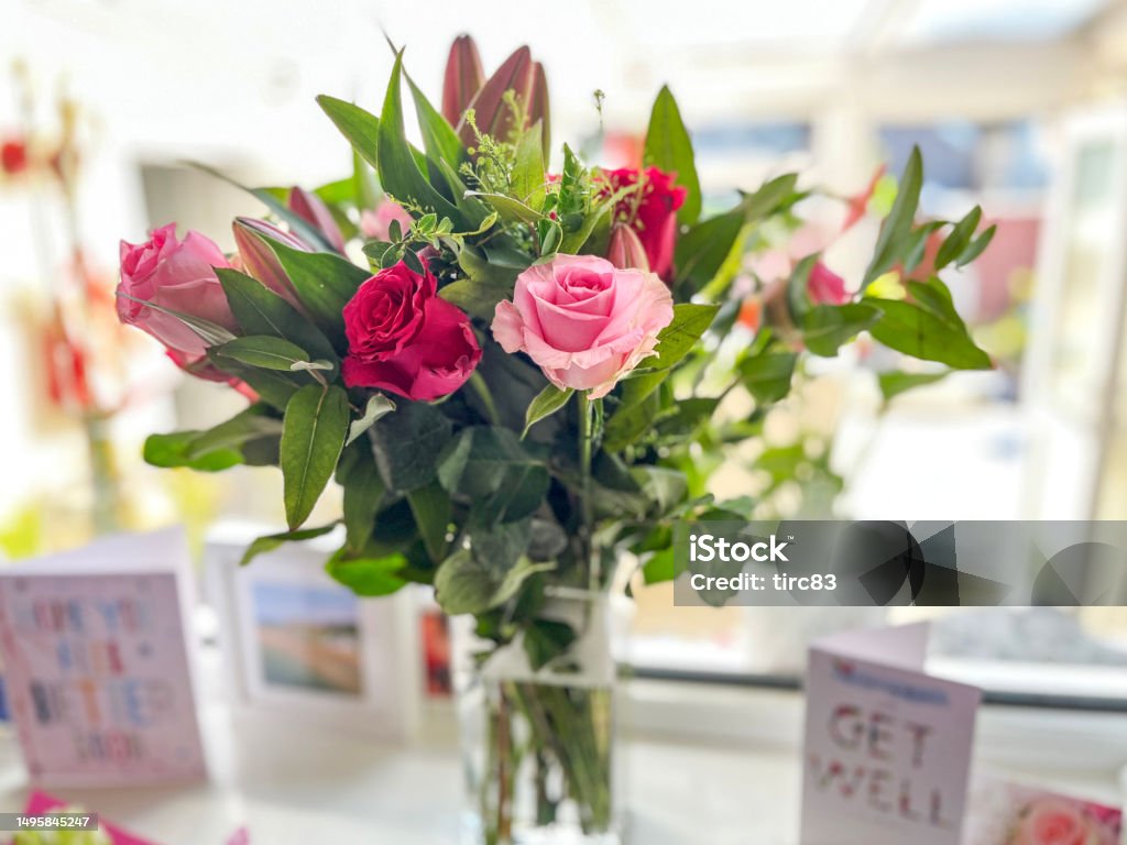 Flowers in vase get well soon cards Flower Stock Photo