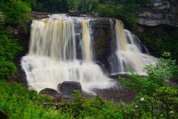 istock 202107 Blackwater Falls SP WV 1495847617