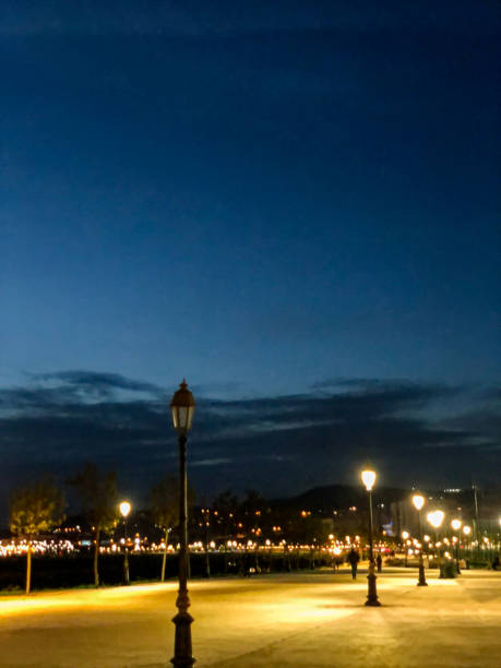 istock Night on walkway in the public park 1495849460