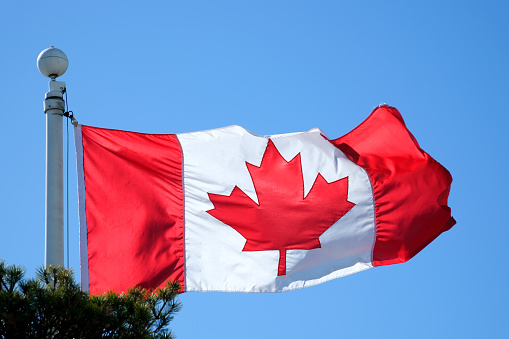 close up waving flag of Canada. flag symbols of Canada. Canada national flag waving in beautiful sky.