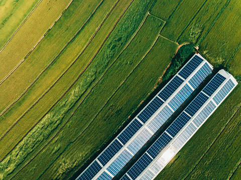 Vista aérea de paneles solares, paisaje agrícola en Taiwán photo