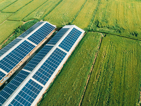 The aerial view reveals the mutual benefits of combining solar energy production and agricultural land use. Farmers can lease their land to solar energy developers, diversifying their income streams while maintaining agricultural activities on the remaining areas. This symbiotic relationship supports sustainable development by reducing greenhouse gas emissions and promoting renewable energy adoption.