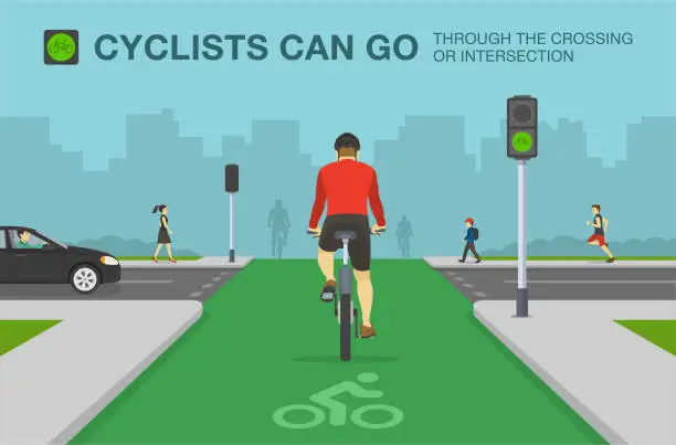 Vector illustration of Traffic regulation rules. Back view of cyclist on a bicycle lane. City road with dedicated bicycle lane and traffic signal.