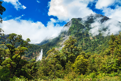 View of the Fiordland National Park at the South Island of New Zealand with temperate rainforest, steep snow capped mountains and a waterfall in background