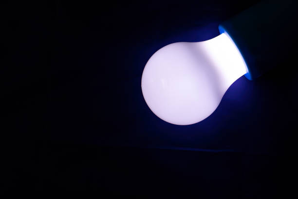 istock Light Bulb on Black Background. Close-up of lit Light Bulb on Black 1495860988