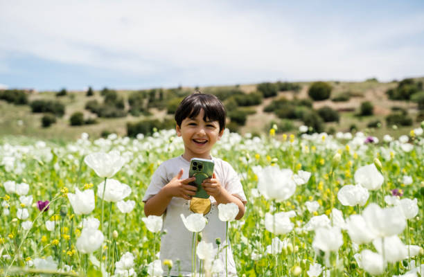 lindo niño tomando fotos de amapolas blancas en el campo - flower red poppy sky fotografías e imágenes de stock