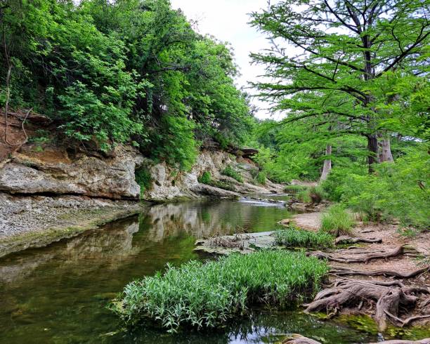istock Creek Scene Looking Upstream Toward Rock Formation and Large Green Tree 1495865637