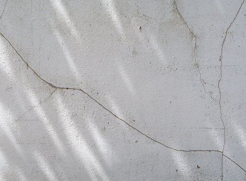 shadow leaves on old white concrete wall and smooth and cracked. retro style abstract background