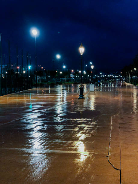 istock Rainy evening in a public park. A walk through nature 1495870325
