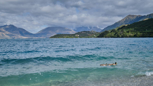 istock Tourist viewpoint along Glenorchy Queenstown Road 1495871501