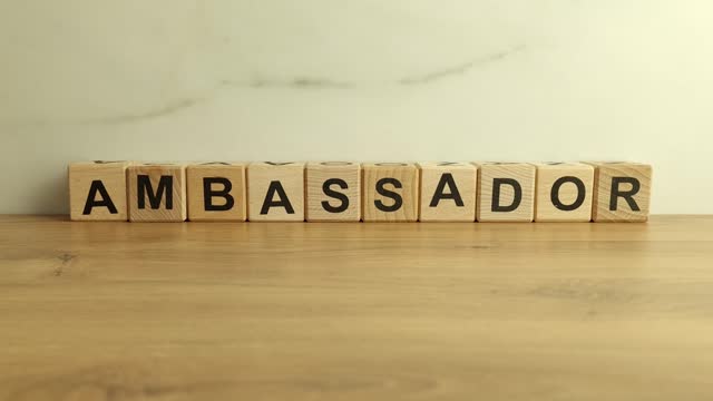 Ambassador word from wooden blocks
