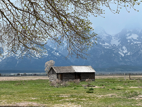 Bavarian meadow landscape with wooden hut, light path, blue sky and copy space