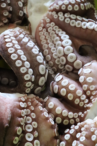 Close-up of raw frozen octopuses ready to be cooked. Upright image.