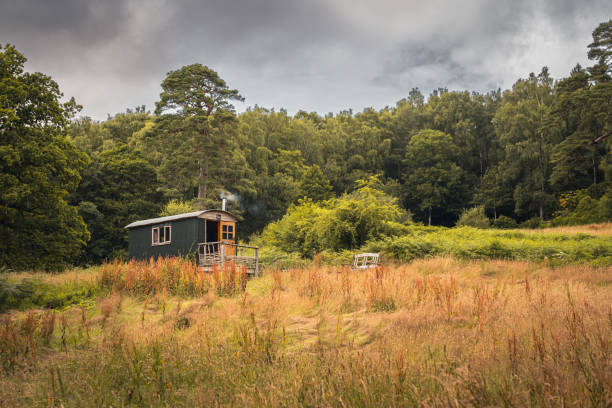 Shepards hut in meadow in scotland