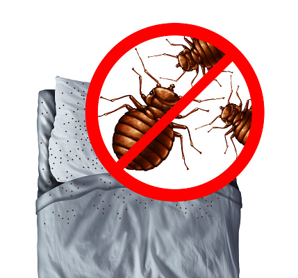 Bed Bug Discovery and Bedbug extermination or bedbugs eradication infestation concept as a pest control of  parasitic insect pests on a pillow and under the sheets as a hygiene deep cleaning symbol in a 3D illustration style.