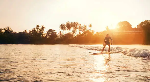 Photo of Teen boy silhouette riding a long surfboard. He caught a wave in an Indian ocean bay with magic sunset background. Extreme water sports and exotic countries concept.