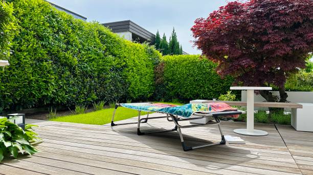istock Sunny day in the garden 1495885425