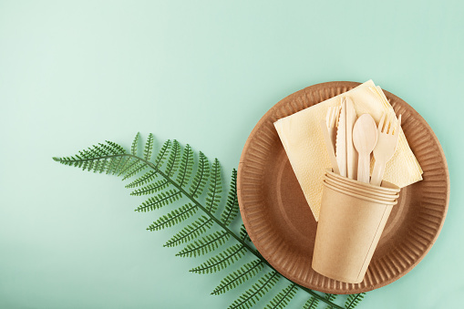 Biodegradable cardboard cutlery for green picnics, Disposable wooden plates for environmentally-friendly catering