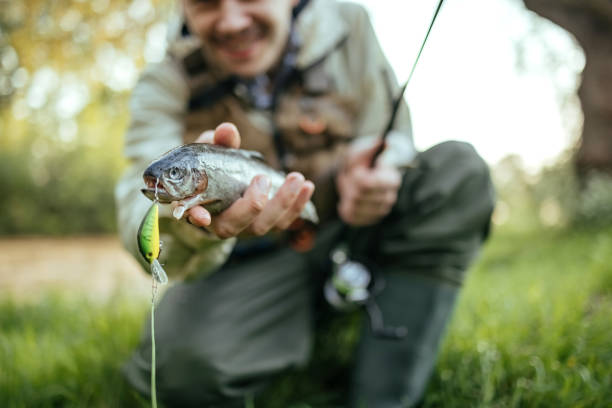 Big European chub in fisherman's hand
