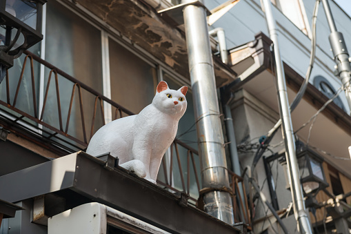 White cat doll decorated on roof at Yanaka Ginza shopping street, Taito-ku, Tokyo, Japan.