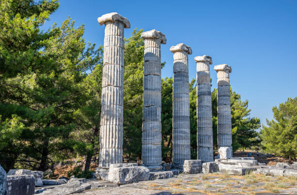 Priene Ruins of the ancient city of Priene, Ionic columns of the Temple of Athena Polias, Söke, Aydın, Turkey. ancient rome stock pictures, royalty-free photos & images