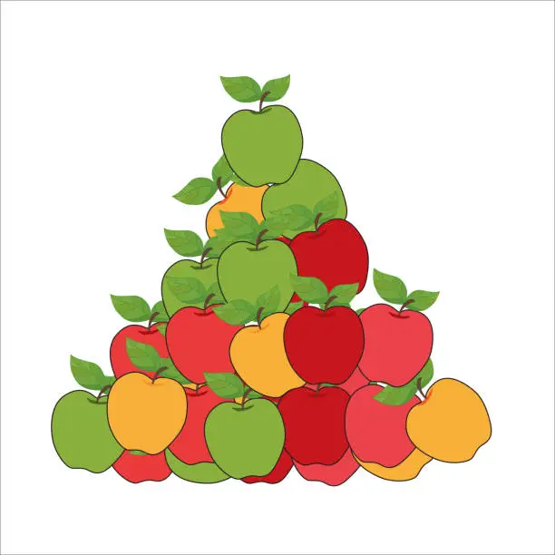 Vector illustration of Bunch of apples vector illustration on white background