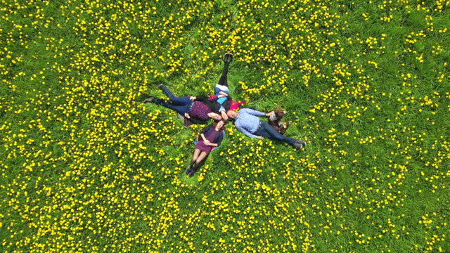 Aerial view of a family lying in a meadow