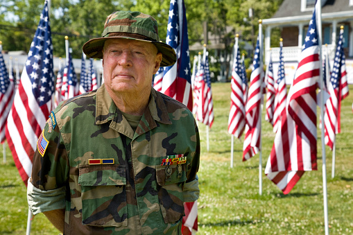 Decorated American Veteran with military ribbons, in uniform in a sea of American Flags.
